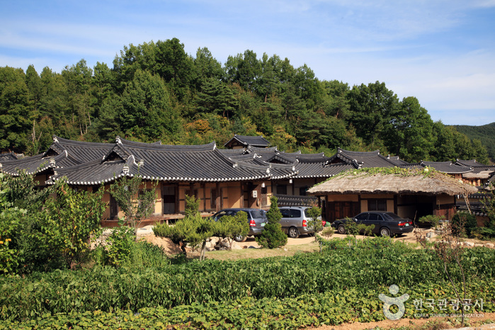 Yeongju Museom Village (영주 무섬마을)