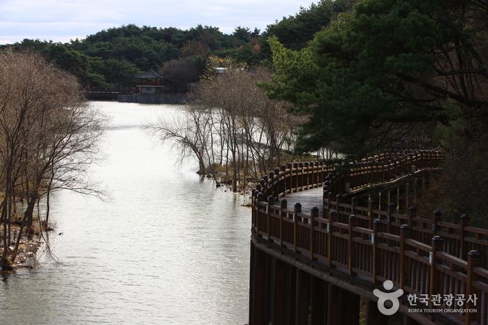Uirimji Reservoir (제천 의림지와 제림)