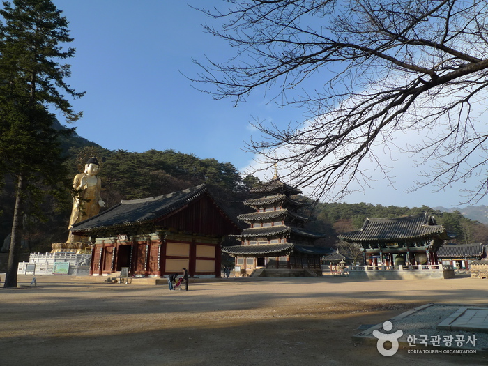 보은 법주사 사진16