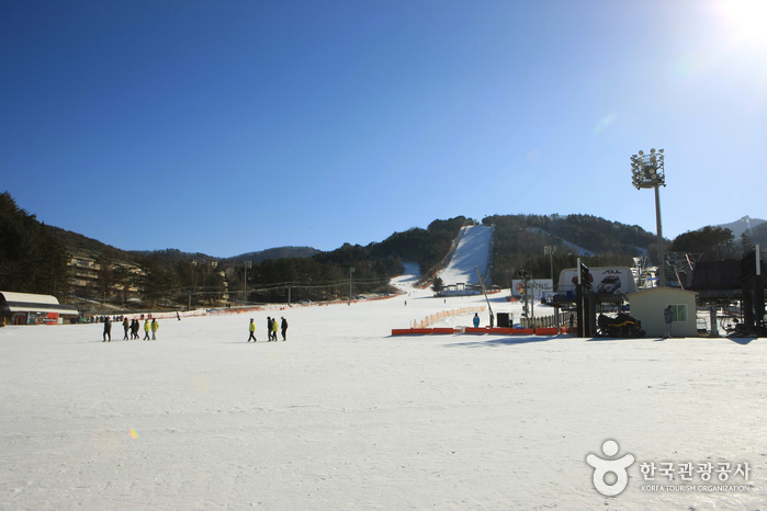 Ski-Resort Yongpyong (용평리조트 스키장)