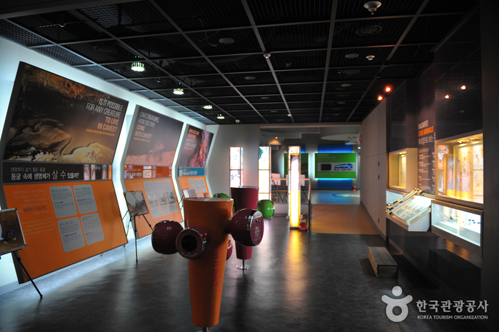 영월 동굴생태관2