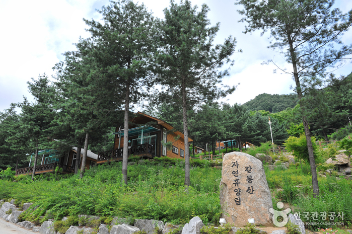 Bosque Recreativo del Monte Kalbongsan (칼봉산자연휴양림)