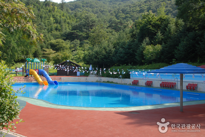 Bosque Recreativo Geumgang (Arboreto Geumgang, Museo Forestal) (금강자연휴양림(금강수목원,산림박물관))