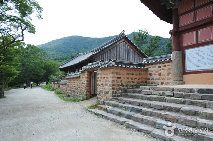 Templo Seonunsa en Gochang (선운사(고창))