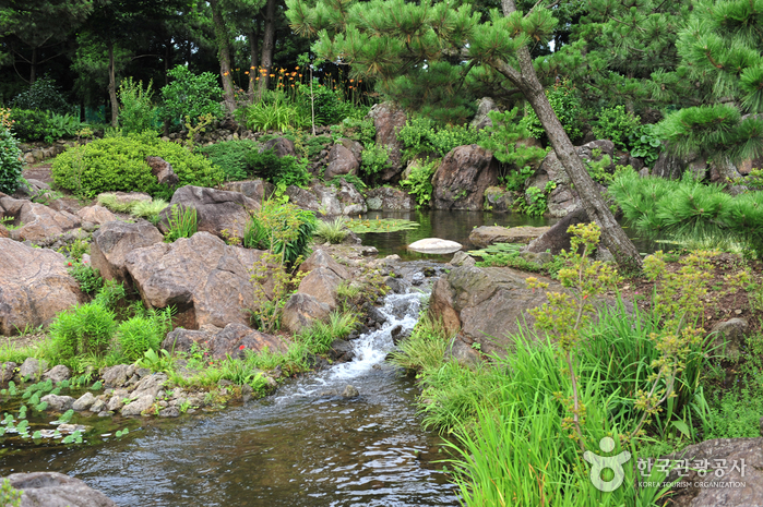 Hueree Natural Park (휴애리 자연생활공원)