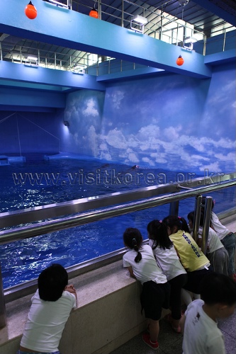 长生浦鲸鱼生态体验馆(장생포 고래생태체험관)