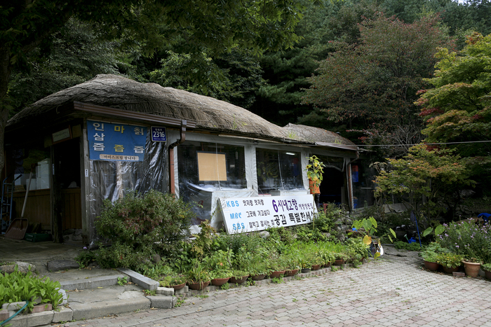 죽령 이미지