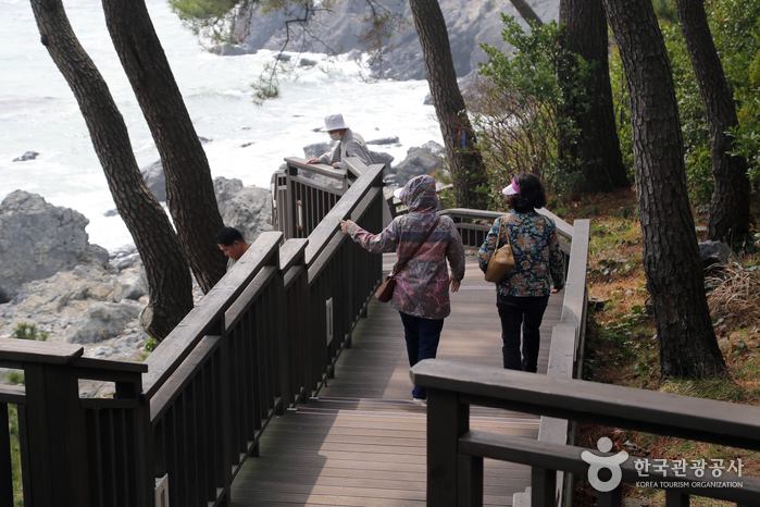 Haeundae Dongbaekseom Island (해운대 동백섬)2