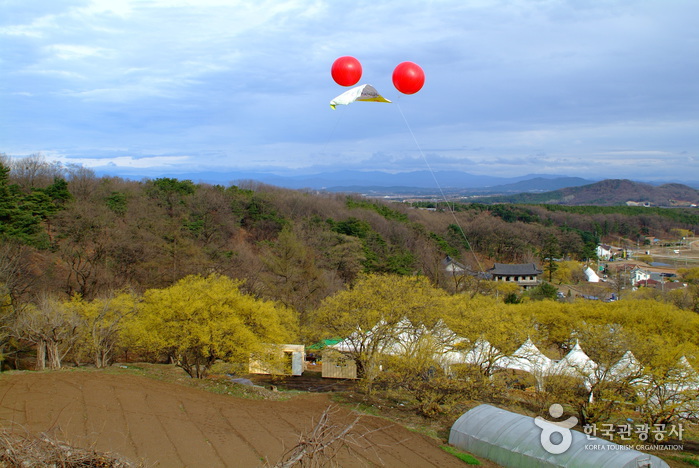 Icheon Sansuyu Villa...