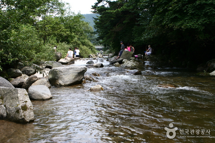 Eobigyegok Valley (어비계곡)