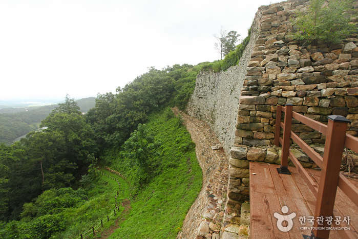 Boeun Samnyeonsanseong Fortress (보은 삼년산성)