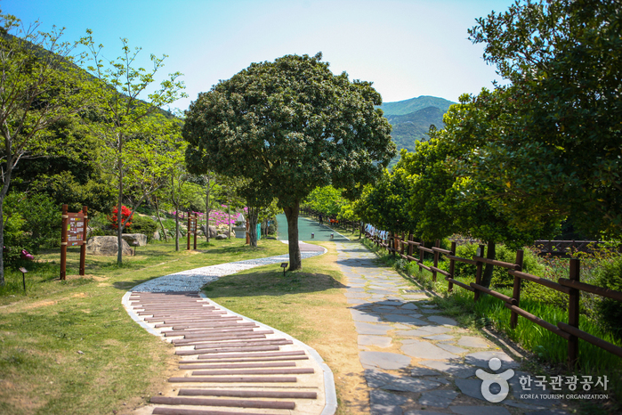 莞島樹木園(완도수목원)