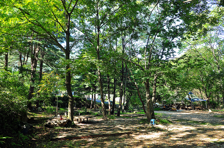 아프리카갤러리캠핑장1