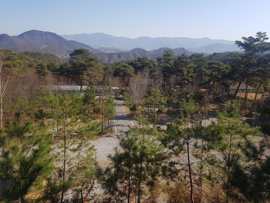 명봉산 솔밭관광농원 오토캠핑장