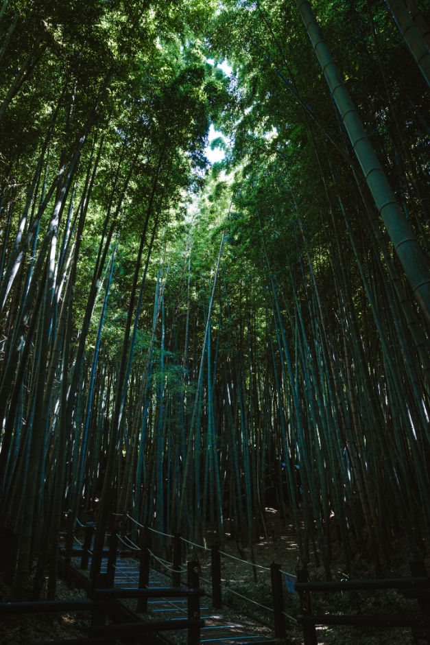 한라수목원