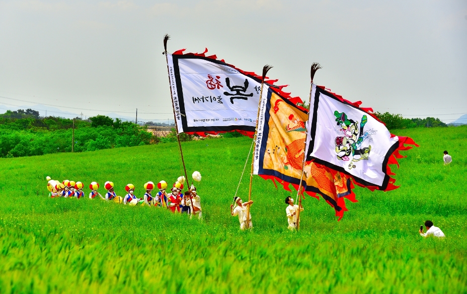Gochang Green Barley Field Festival (고창청보리밭 축제)