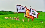2024 고창청보리밭 축제 1