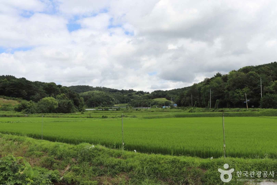 부여 신암친환경마을