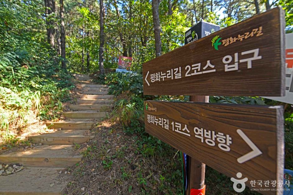 평화누리길 2코스 조강철책길