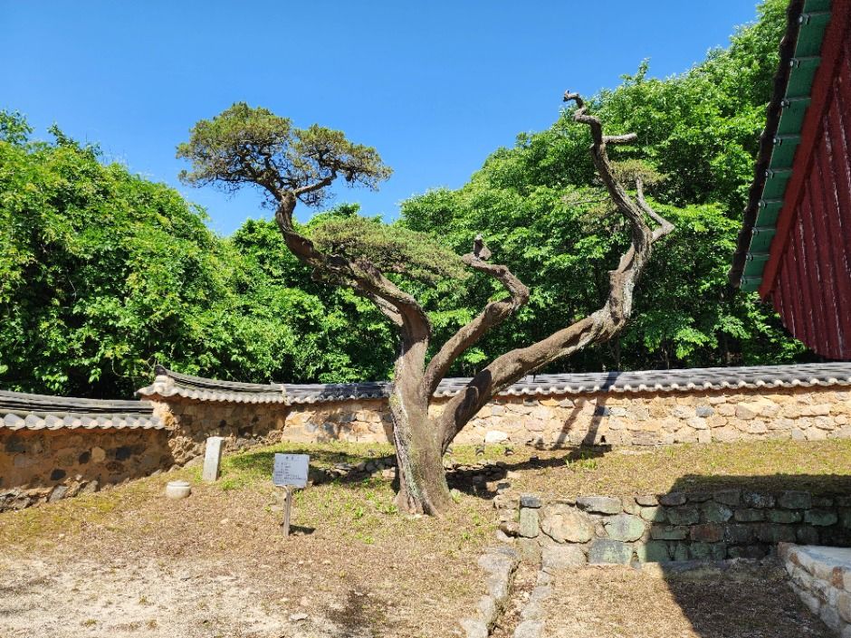 파주향교