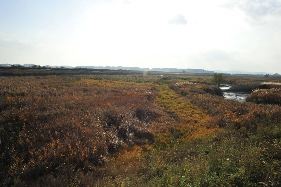 파주 DMZ 생태연구소