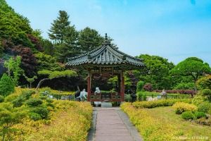 세종 아이와 가볼만한 곳_베어트리 파크_1-13