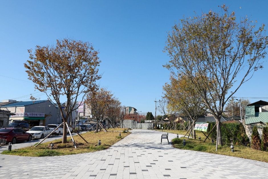원주_치악산 바람숲길 (4)