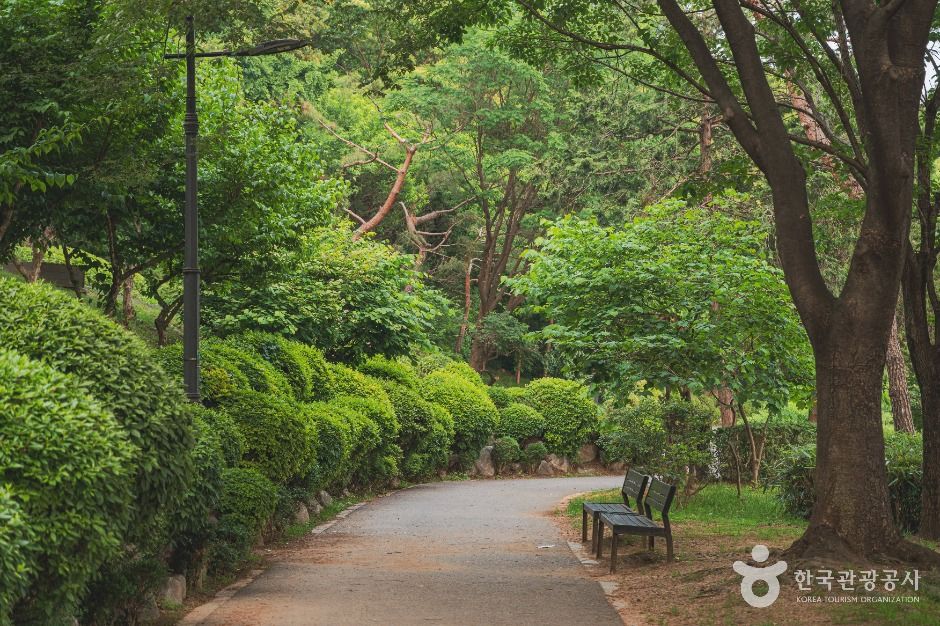 남산 야외식물원