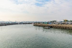 사천_그리움이 물들면 (2)