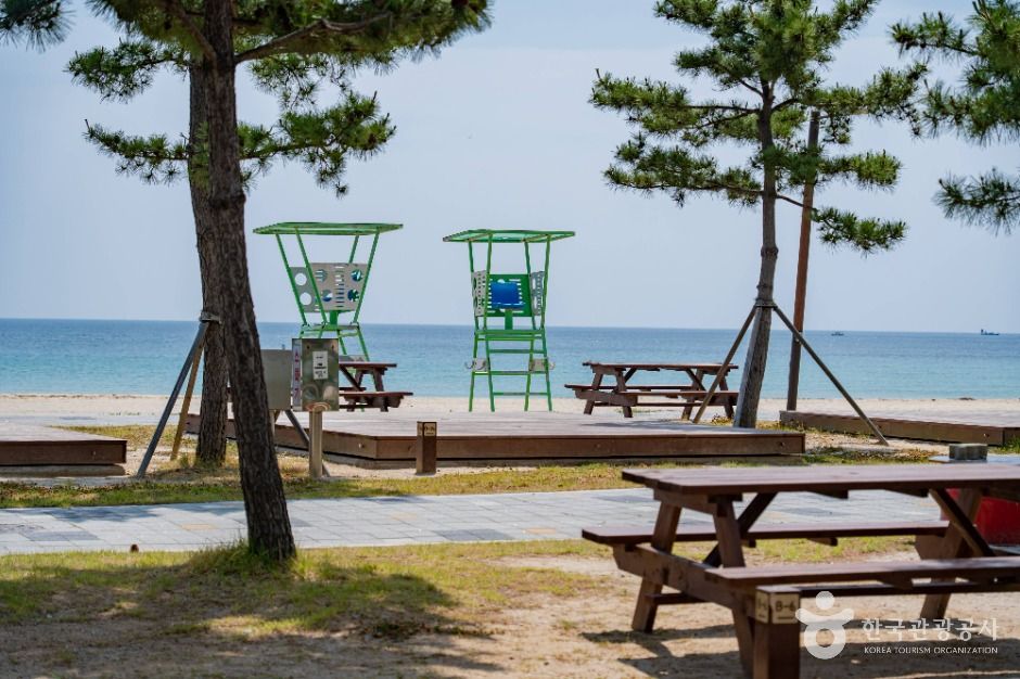 송지호 해수욕장