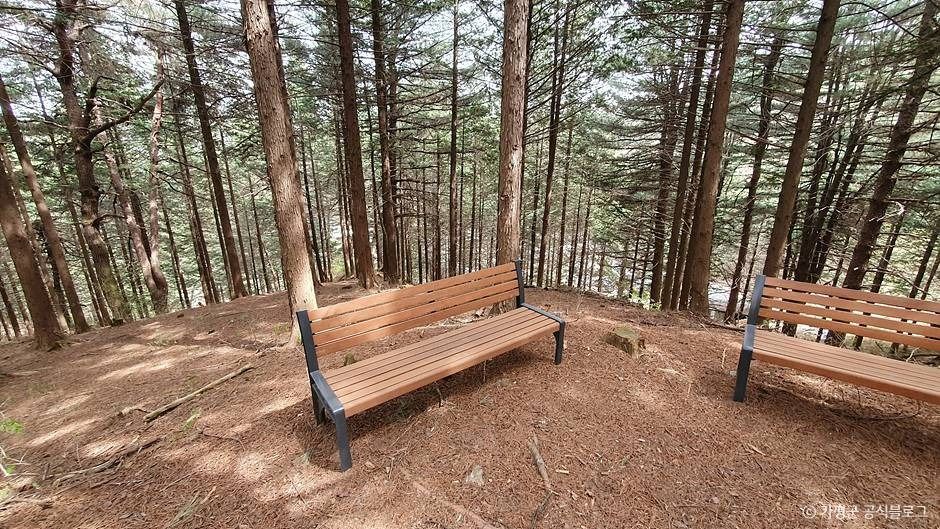 초롱이둥지마을