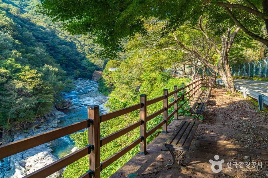 thumbnail-백암동천-6