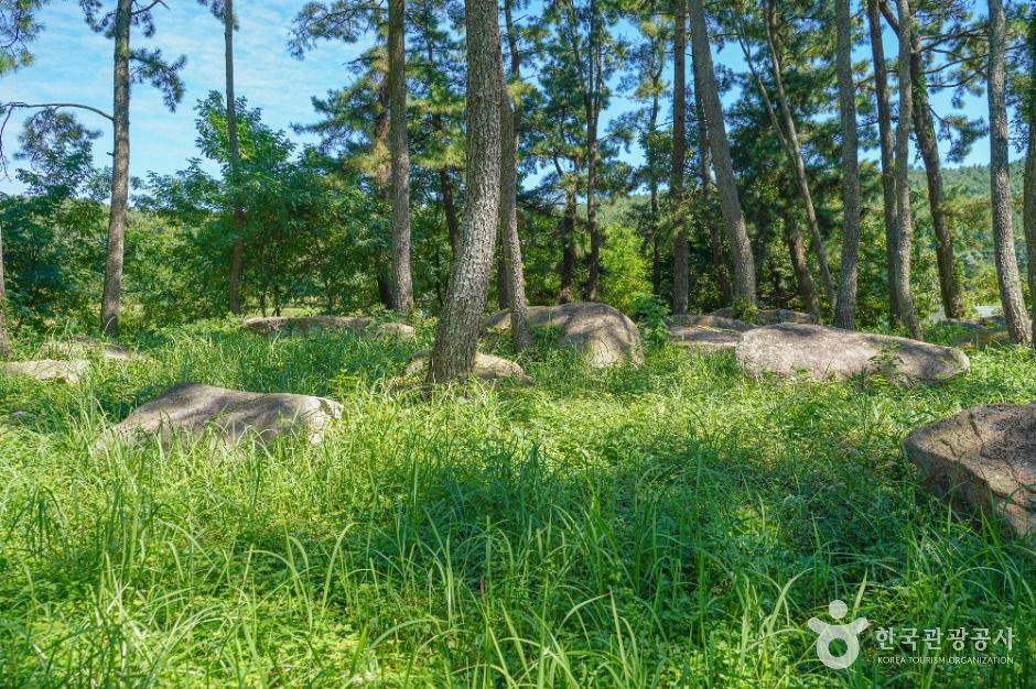 장흥 방촌리 지석묘군