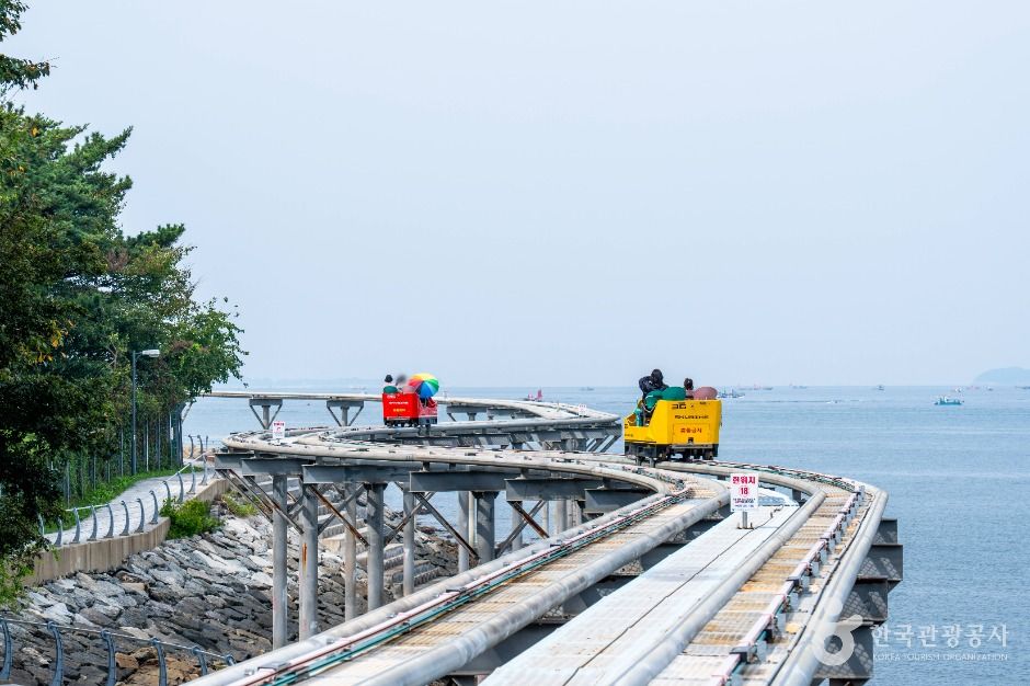 대천해수욕장 스카이바이크