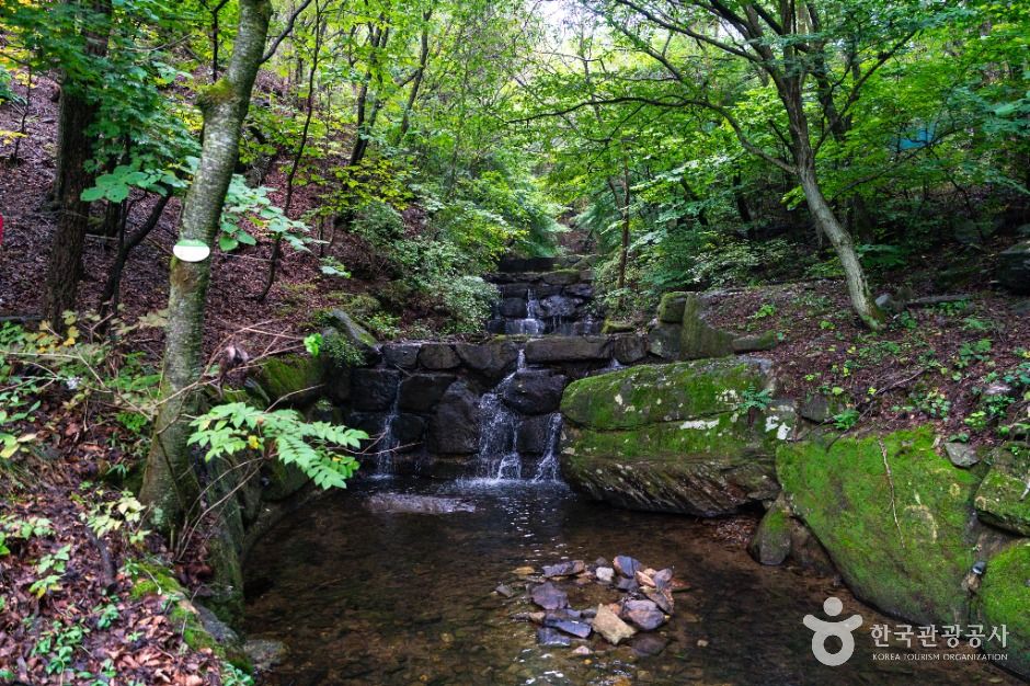 학가산자연휴양림