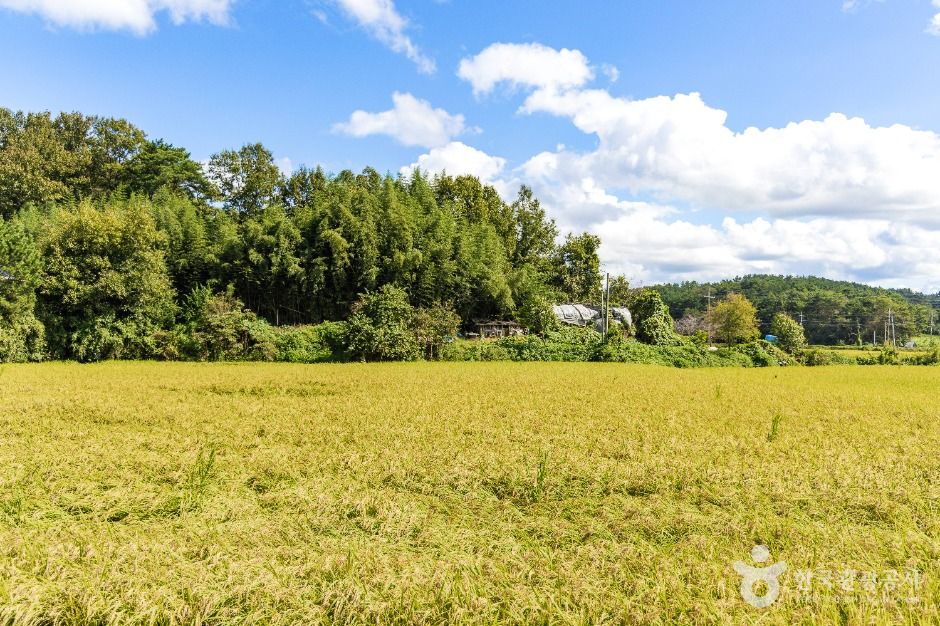 익산 붕새언덕마을