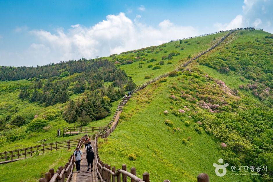 단양_소백산국립공원(북부) (5)