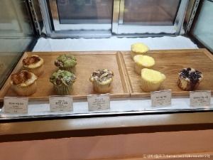 서울_비올레타 (5)