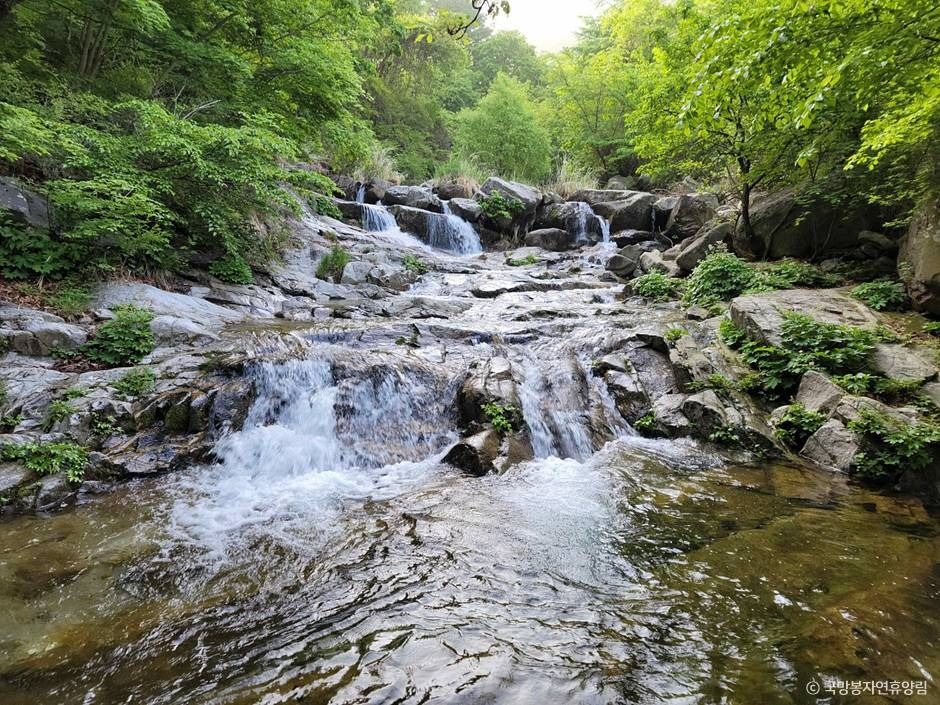 thumbnail-국망봉자연휴양림-5
