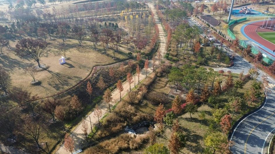 충주 시민의 숲