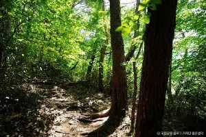 하동_지리산국립공원(하동) (2)