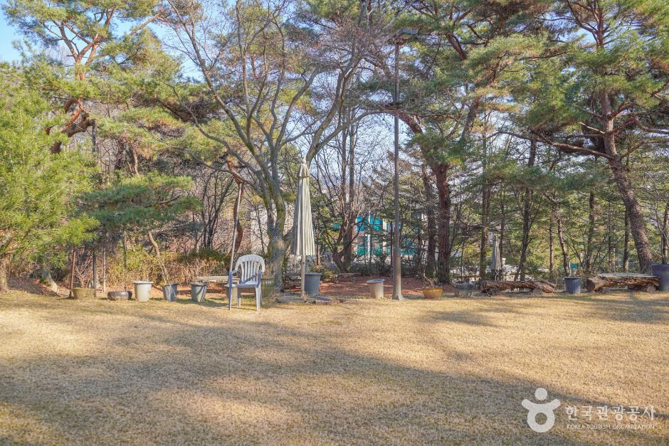 서울_박을복자수박물관 (6)