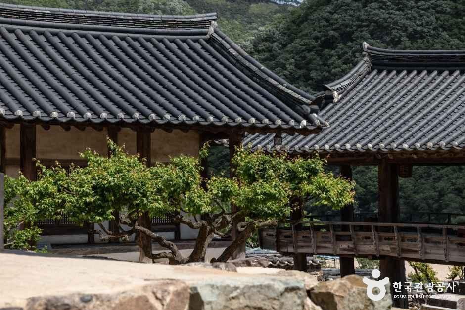 thumbnail-병산서원 [유네스코 세계유산]-13