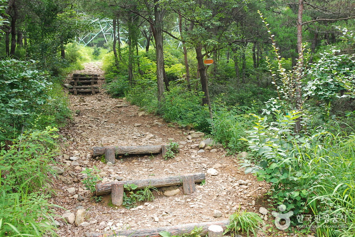 Jangnyeongsan Natural Forest (장령산자연휴양림)