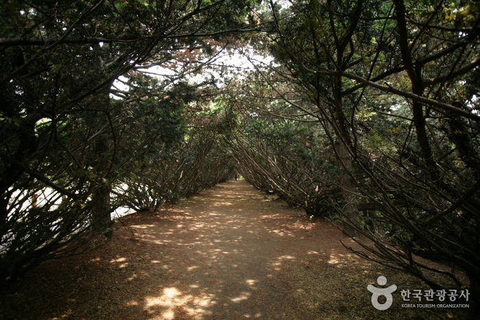 The Botanical Garden BCJ (Byeokchoji) (벽초지 문화수목원)