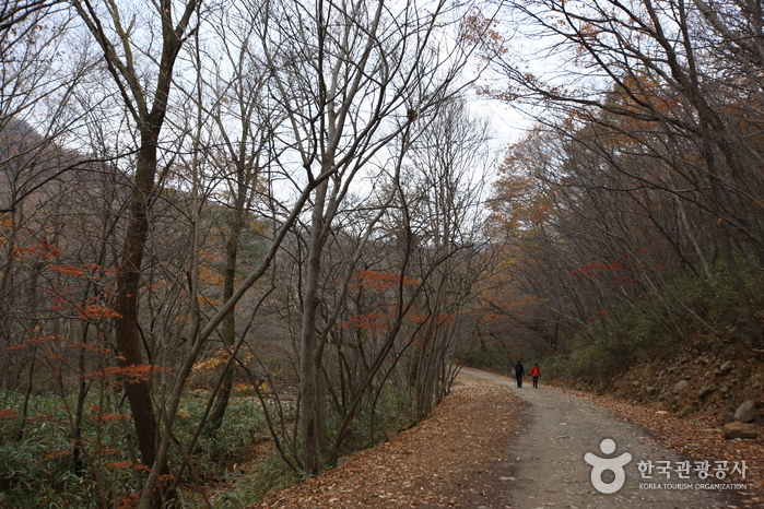 Seonamsa Temple - Suncheon (선암사-순천)