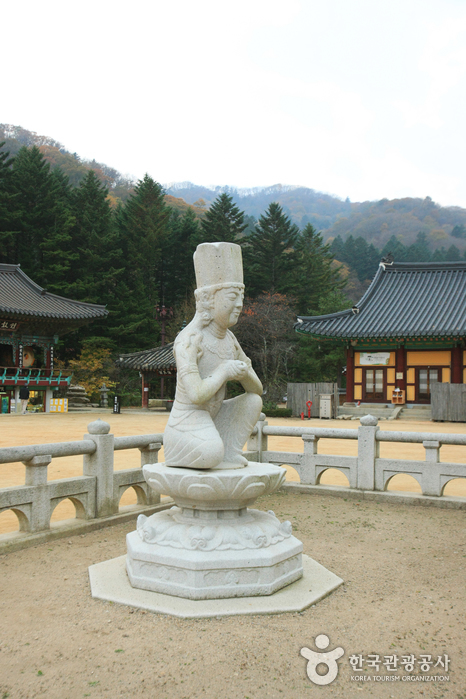 Woljeongsa Temple (오대산 월정사)
