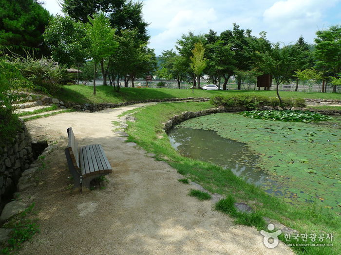 Andong Folk Village (안동민속촌과 안동호)
