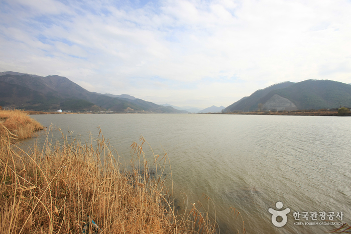Fluss Nakdonggang (낙동강)