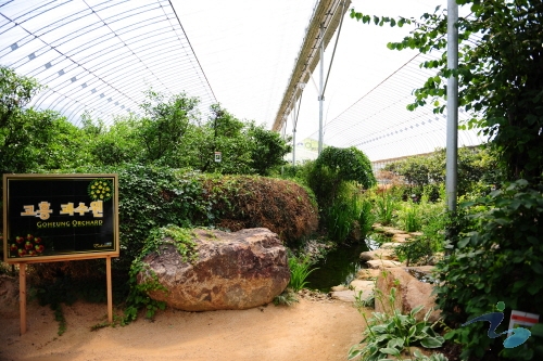 Ewhawon Garden (이화원)